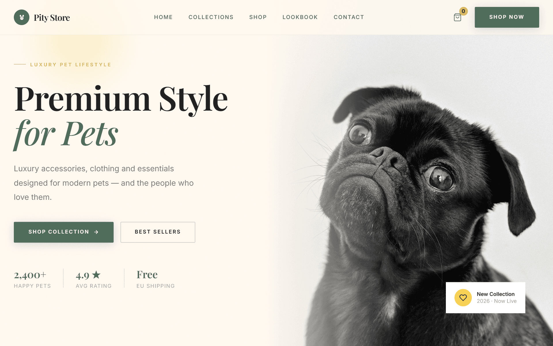 Pity Store — Luxury pet brand